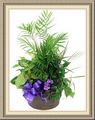 Bergenfield Best Florist, 2 Pine Dr, Bergenfield, NJ 07621, (201)_384-5040